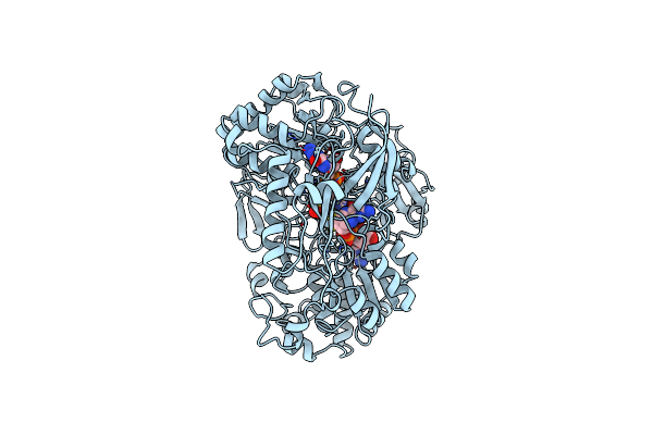 1DMS image