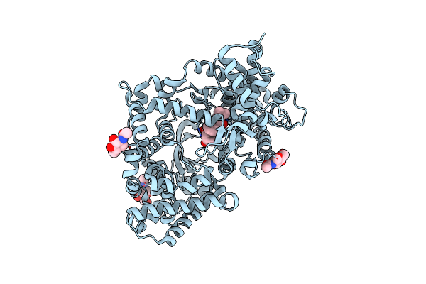 1DMT image