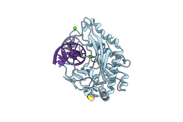 1DMU image