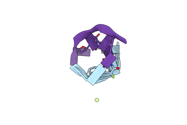 1DNF image