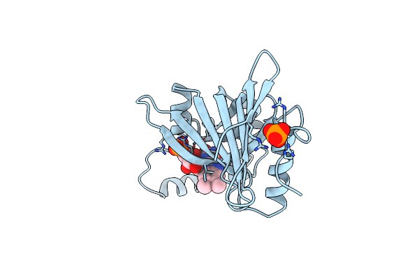 1DNL image