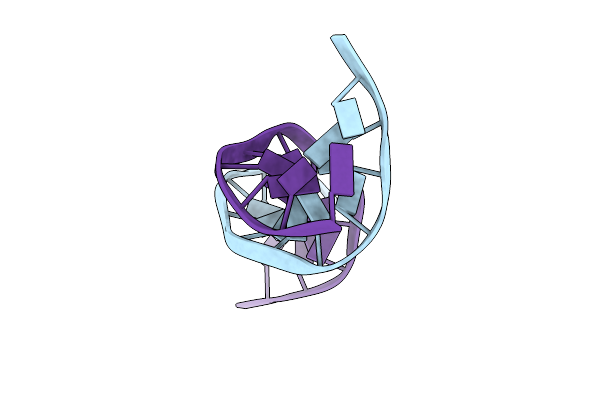 1DNM image