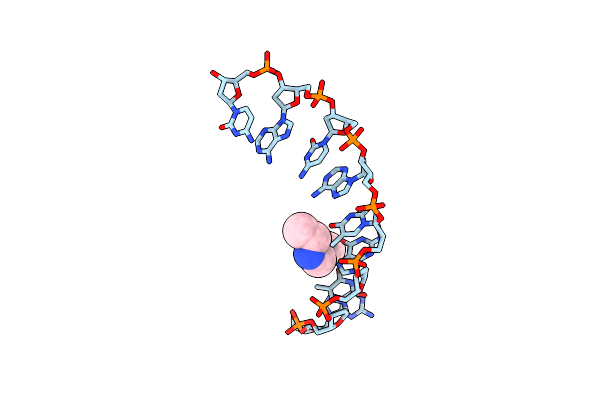 1DNS image