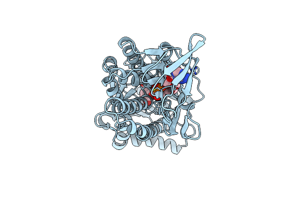 1DOD image