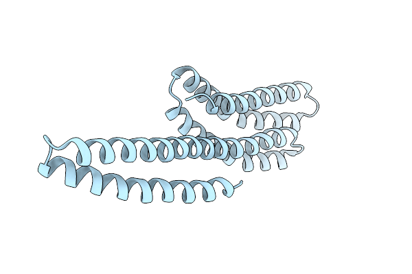1DOV image