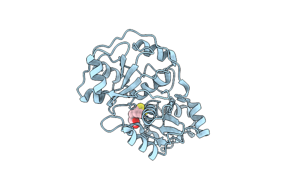 1DP2 image