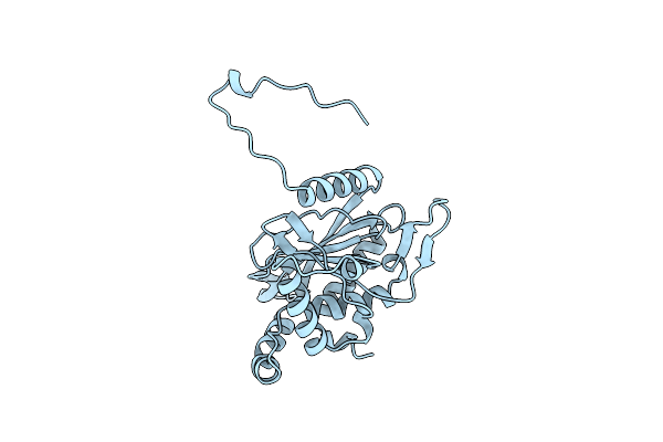 1DPB image