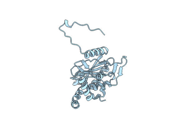 1DPD image