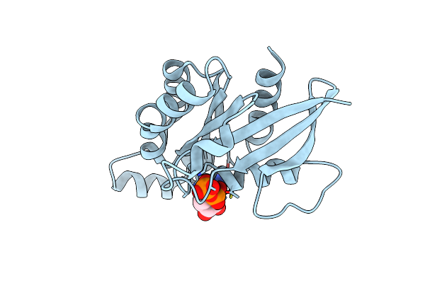 1DPF image
