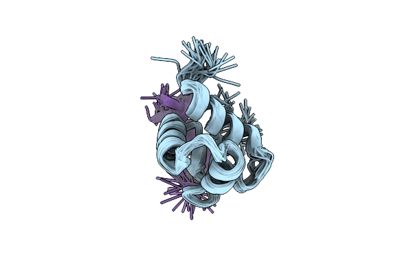 1DPU image