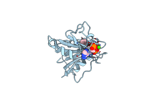 1DR1 image