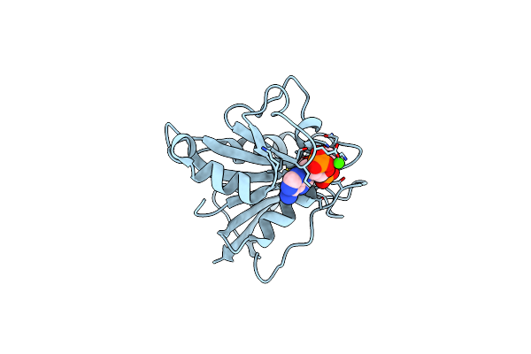 1DR2 image