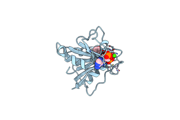 1DR4 image