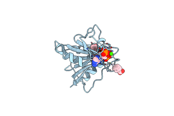 1DR6 image