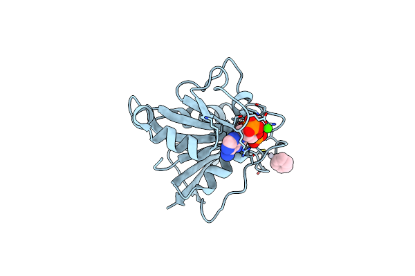 1DR7 image