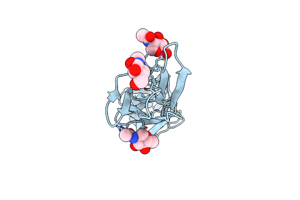 1DR9 image