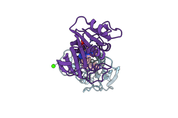 1DRB image