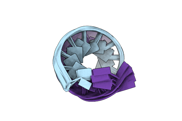 1DRR image