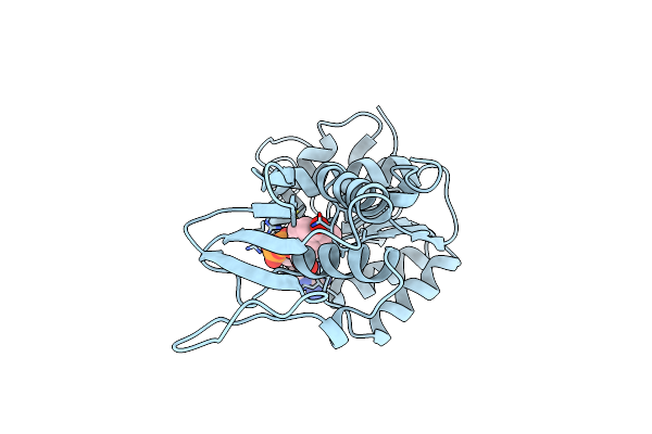 1DRV image