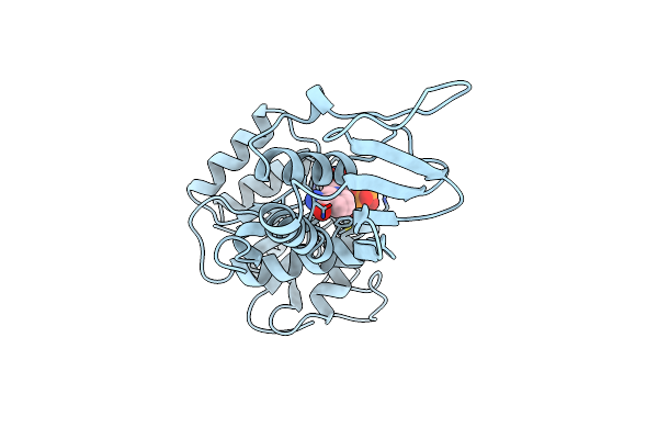 1DRW image