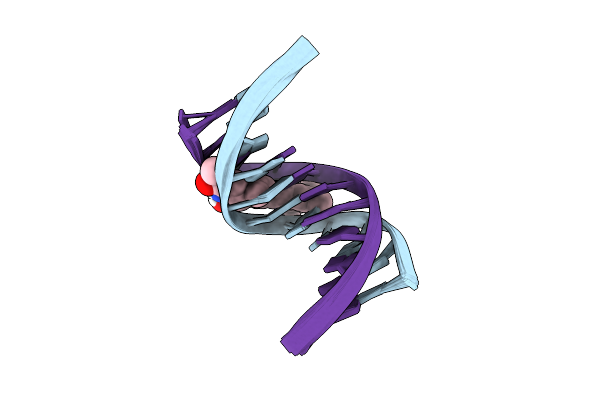 1DSM image