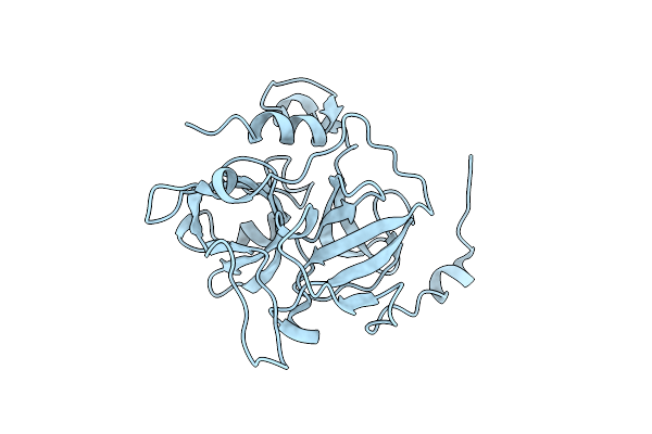 1DT2 image