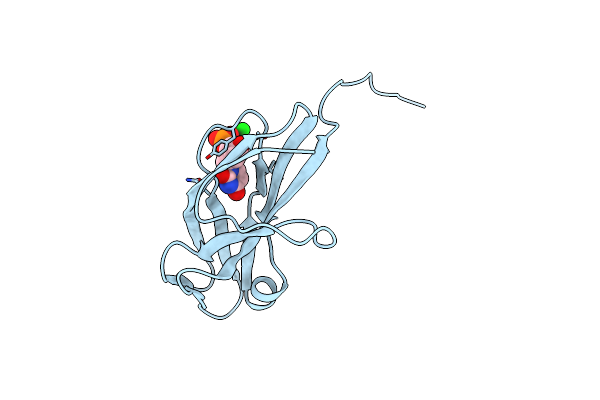 1DUC image