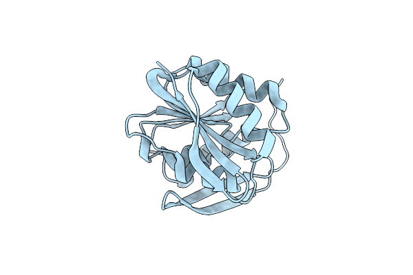 1DUS image