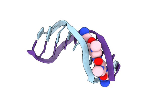 1DVL image