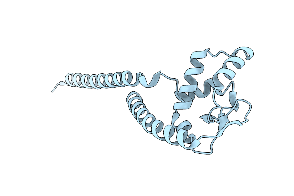 1DVO image