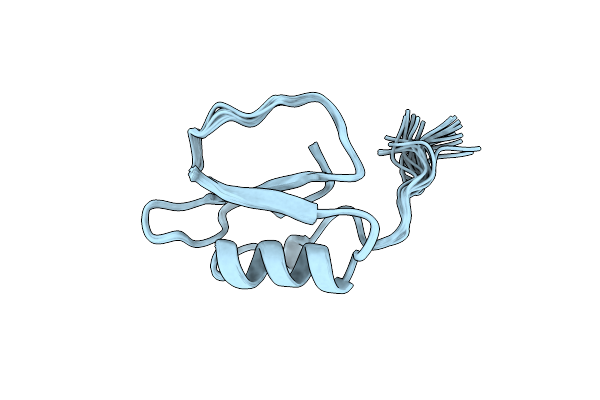 1DWM image