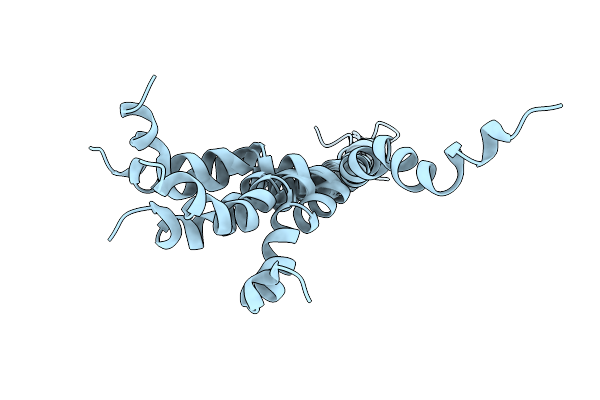 1DX7 image