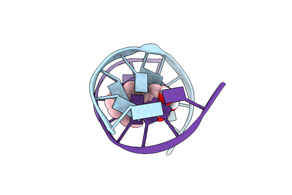 1DXA image