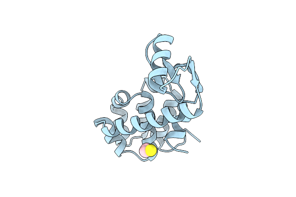 1DYC image