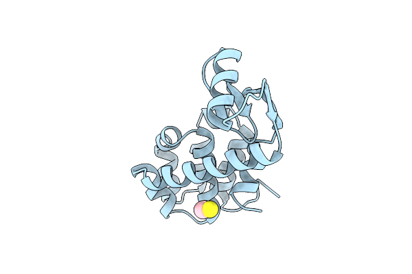 1DYE image