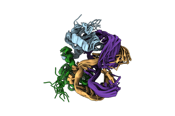 1DZ5 image