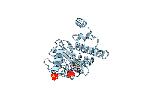 1DZW image