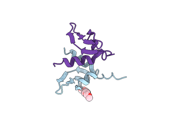 1E0B image