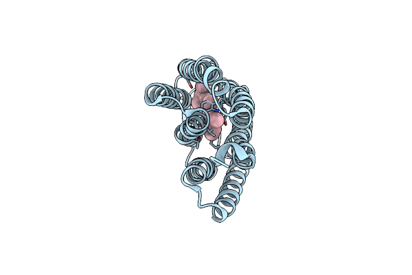 1E0P image