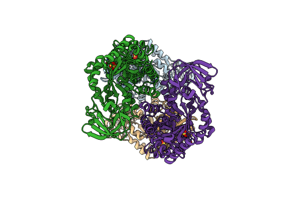 1E0T image