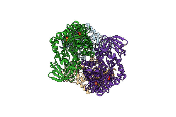 1E0U image