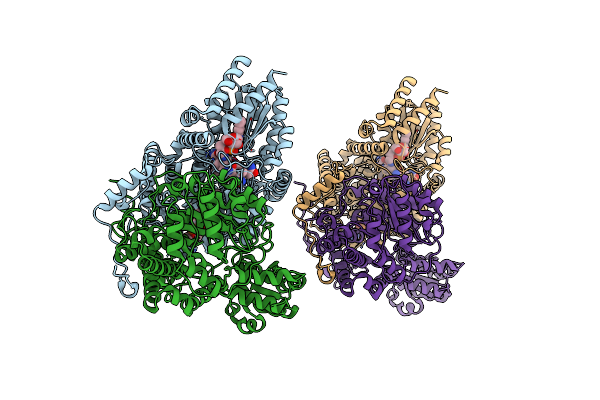 1E1C image