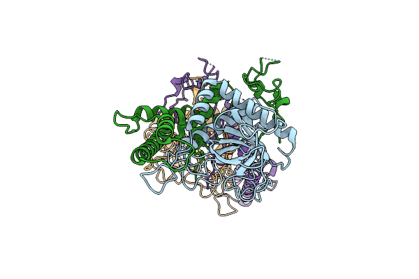 1E1H image