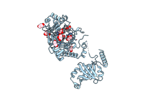 1E1O image