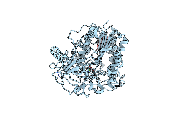 1E1Z image
