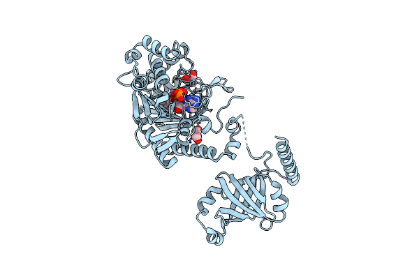 1E24 image