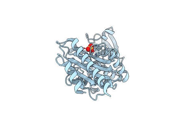 1E25 image