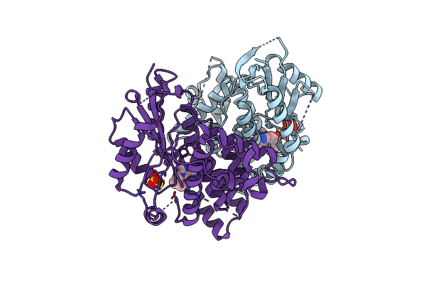 1E2I image