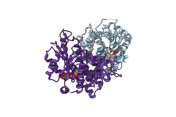 1E2N image