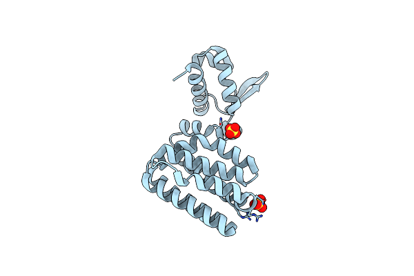 1E2X image